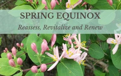 Spring Equinox: Reassess, Revitalize and Renew