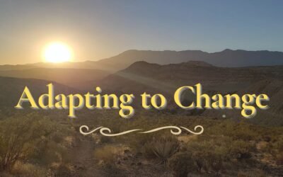 Adapting to Change