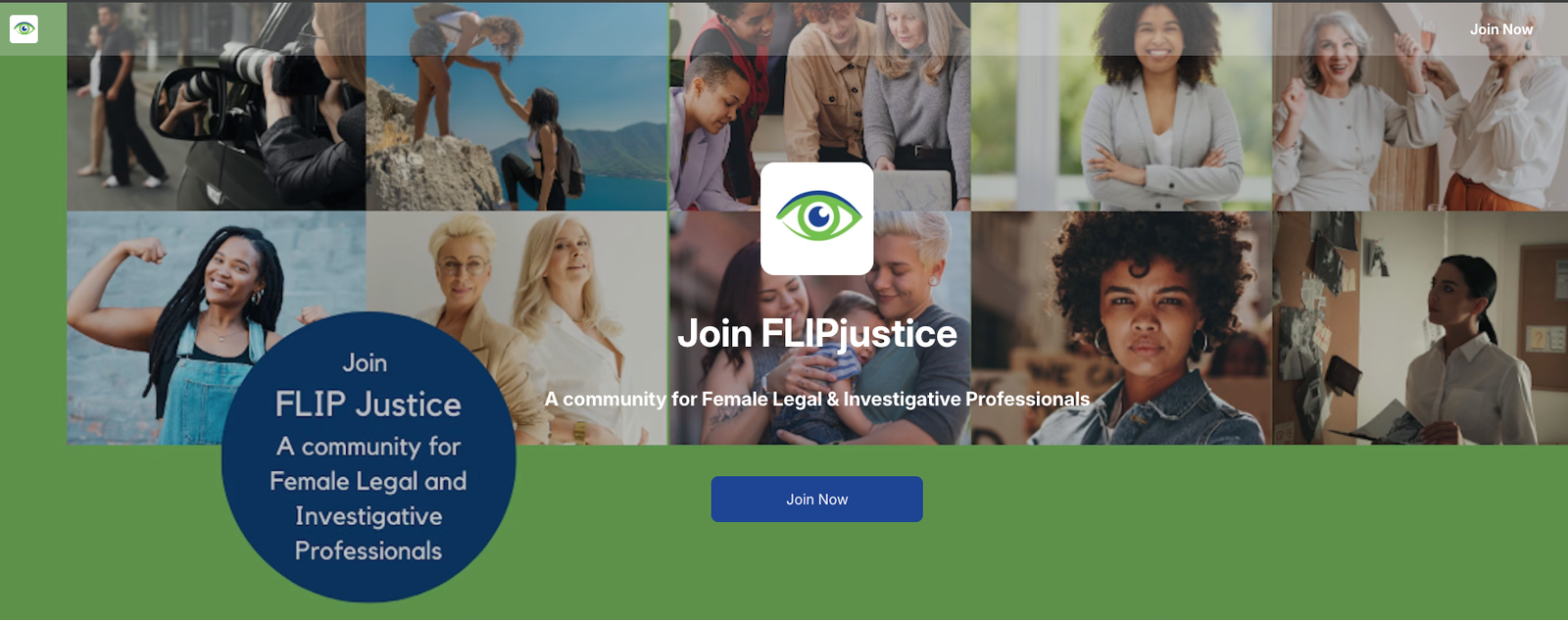 Community Design Case study Vicki Siedow FLIP Justice online